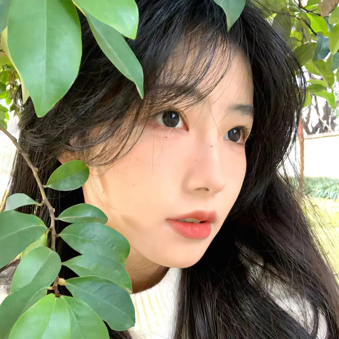 我的战争